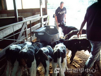 紐西蘭英語飛行探索之旅,學聯遊學團