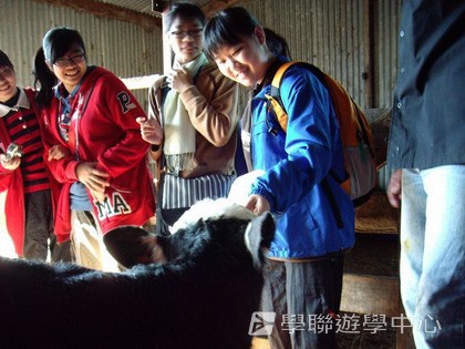 紐西蘭英語飛行探索之旅,學聯遊學團