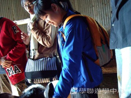 紐西蘭英語飛行探索之旅,學聯遊學團
