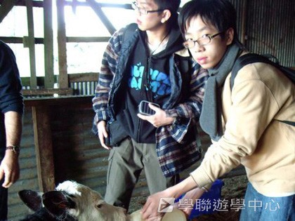 紐西蘭英語飛行探索之旅,學聯遊學團