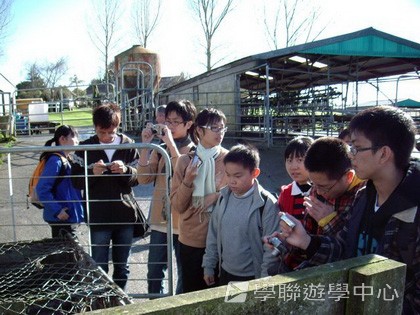 紐西蘭英語飛行探索之旅,學聯遊學團