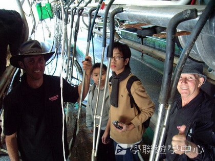 紐西蘭英語飛行探索之旅,學聯遊學團