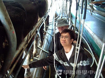 紐西蘭英語飛行探索之旅,學聯遊學團