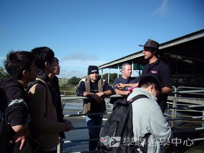 紐西蘭英語飛行探索之旅,學聯遊學團