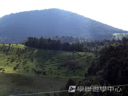 紐西蘭英語飛行探索之旅,學聯遊學團