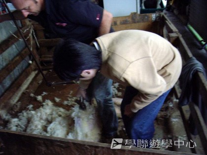 紐西蘭英語飛行探索之旅,學聯遊學團