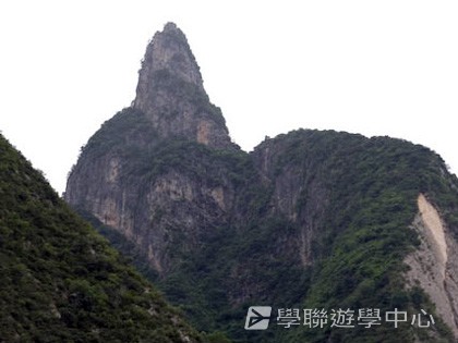 基地義工體驗營,學聯遊學團