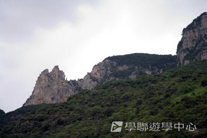 基地義工體驗營,學聯遊學團