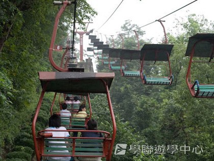 基地義工體驗營,學聯遊學團