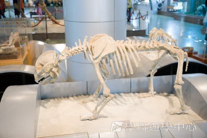 基地義工體驗營,學聯遊學團