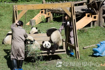基地義工體驗營,學聯遊學團