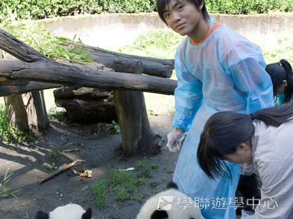 基地義工體驗營,學聯遊學團