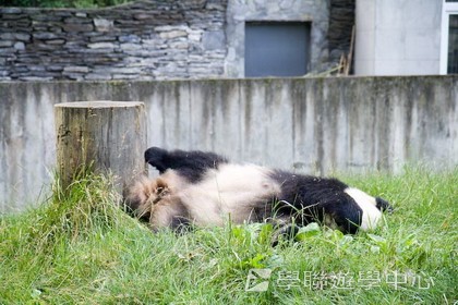 基地義工體驗營,學聯遊學團