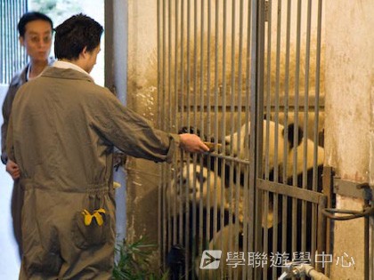基地義工體驗營,學聯遊學團
