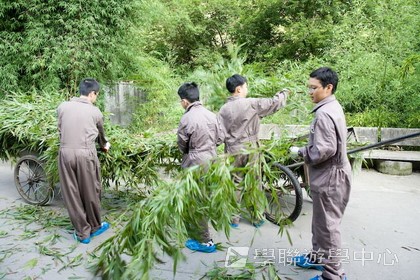 基地義工體驗營,學聯遊學團
