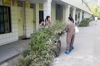 基地義工體驗營,學聯遊學團