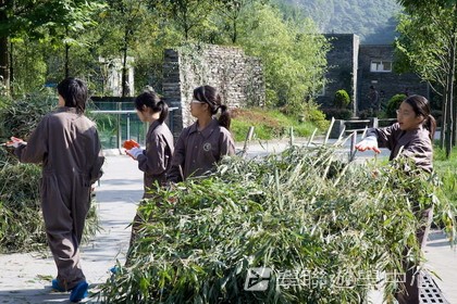 基地義工體驗營,學聯遊學團