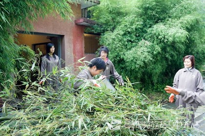 基地義工體驗營,學聯遊學團