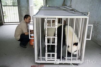 基地義工體驗營,學聯遊學團