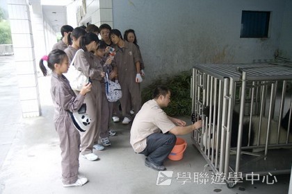 基地義工體驗營,學聯遊學團
