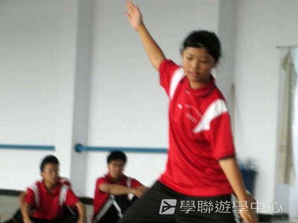 少林太極武術夏令營,學聯遊學團