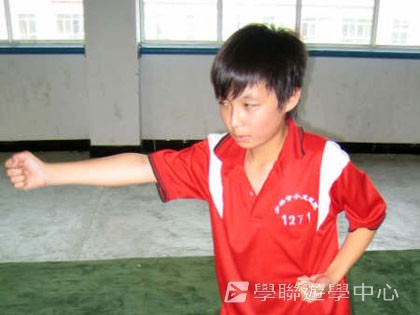 少林太極武術夏令營,學聯遊學團