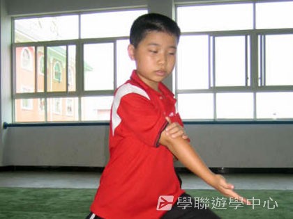 少林太極武術夏令營,學聯遊學團