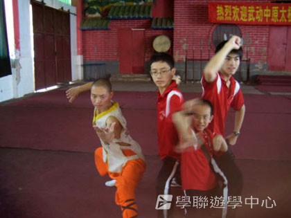 少林太極武術夏令營,學聯遊學團