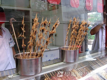 北京?上海十九天課程,學聯遊學團