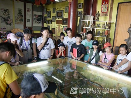 基地義工體驗營,學聯遊學團