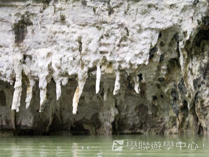基地義工體驗營,學聯遊學團