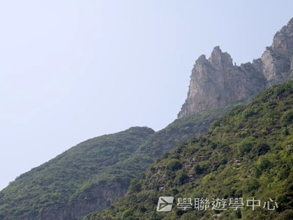 基地義工體驗營,學聯遊學團