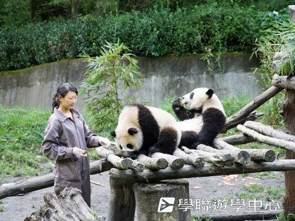 基地義工體驗營,學聯遊學團