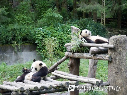 基地義工體驗營,學聯遊學團