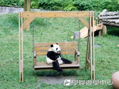 基地義工體驗營,學聯遊學團
