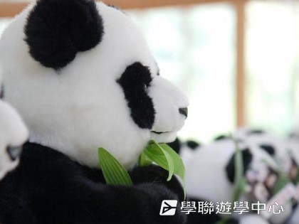 基地義工體驗營,學聯遊學團