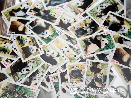 基地義工體驗營,學聯遊學團