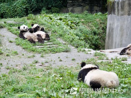 基地義工體驗營,學聯遊學團