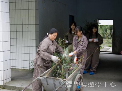 基地義工體驗營,學聯遊學團