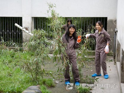 基地義工體驗營,學聯遊學團