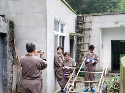 基地義工體驗營,學聯遊學團