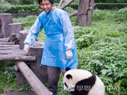 基地義工體驗營,學聯遊學團