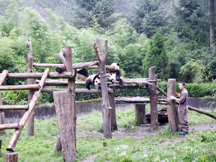 基地義工體驗營,學聯遊學團