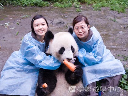 基地義工體驗營,學聯遊學團