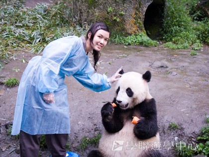 基地義工體驗營,學聯遊學團